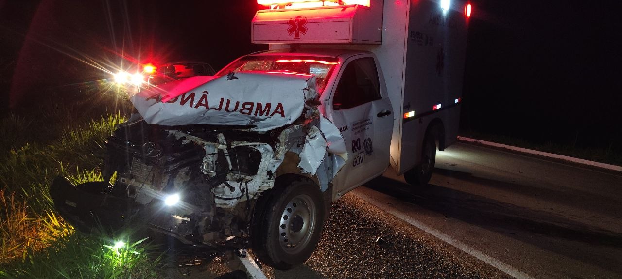 Ambulância de Vista Alegre do Abunã colide com boi na BR-364; motorista sai ileso